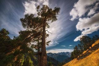 Кавказ р. Загеданка. посёлок Загедан внизу