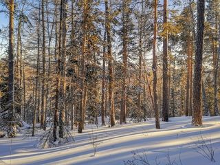 Тени стали длинее