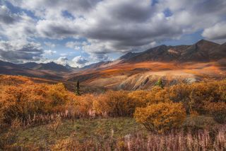 Вид на золотую долину и гору Тумбстоун вдали  с Dempster highway (грунтовая дорога на Аляску протяженностью в 700 км). Усыпанная острым щебнем трасса. Рекомендуется везти с собой две запаски. ибо шиномонтаж находится далековато