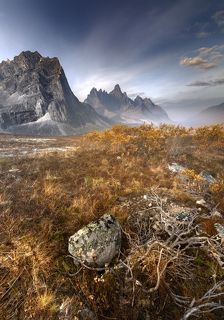 В наш приезд преобладали желтые и оранжевые цвета, мы называли это настоящим золотом Юкона.