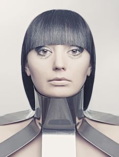 Воротник из нержавеющей стали