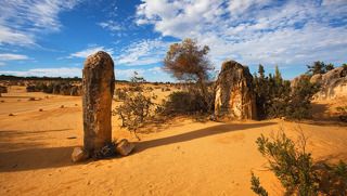 2. Три часа езды от Перта по прекрасной трассе и вы в Pinnacle Desert.  К слову сказать, совсем недавно, около 2-х лет назад, была построена более короткая трасса к Пустыне Башенок. Назвать ее живописной трудно, потому что с трех (я бы даже сказала с четырех) сторон вас в течение всех этих часов сопровождают песчаные дюны с не очень живописной растительностью и лишь с одной стороны Индийский Океан, который виден ну совсем изредка.
