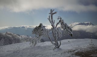 Крымские моменты зимы в горах.