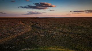 вечер на озере Тенгиз