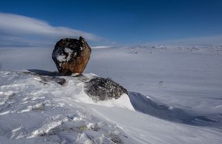 Сердце Цыгявра