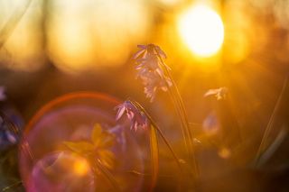 Весны дыхание