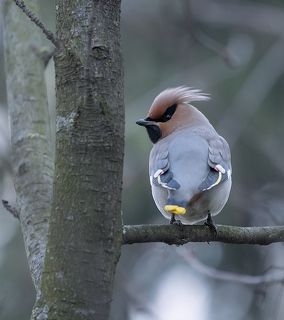Ничего, что я к вам спиной?