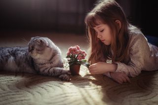 Война и мир.