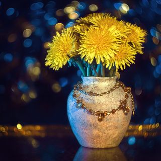 Цветы такого солнечного цвета, будто сами излучают свет...