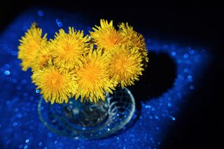 Где есть свет, там есть тень...