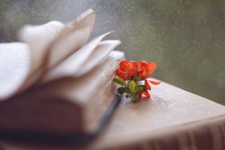 Бывает, что-то не клеится, плохо выходит, и в то же время чувствуешь что-то хорошее. Вспомнишь о хорошем и поймешь: это весна.  Михаил Михайлович Пришвин