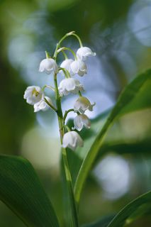 Про утро и нежность…