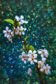 Немножко волшебства :)