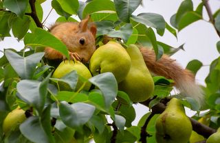 а сколько надломила...