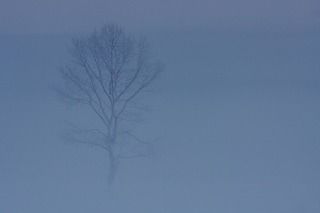 предутренний туман