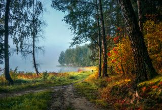 Озеро Лесное, Сергиев Посад