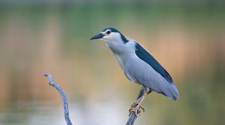 Подкрепилась