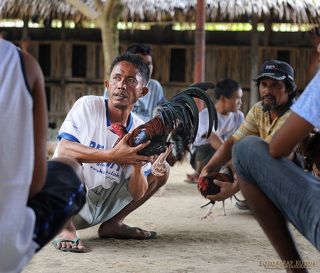 Ожидание боя