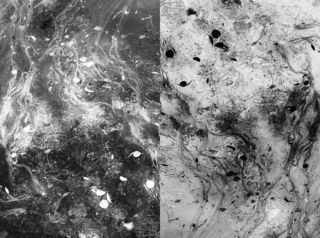 The photographs present abstract coastal landscapes, which I captured in different regions of the world. 