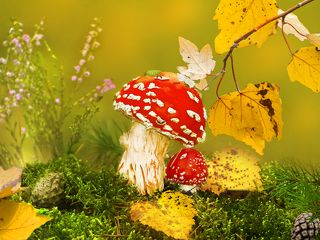 Ой, сыночек, какой ты у меня красивый!