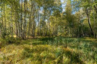 01 В начале сентября с друзьями из Сибири довелось прокатиться по давно знакомым мне Мещёрским местам. В этом году, к сожалению, оказался здесь впервые. Зато, было особенно интересно: как тут всё? Что изменилось за год?