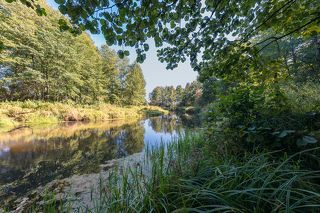03 Несмотря на отсуствие дождей, река берущая начало в болотах, оказалась полноводной.