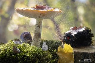 Под зонтиком