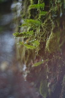 Удивительная встреча)