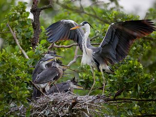 раннее утро