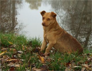 Средина съемки