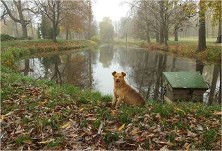 В конце съемки