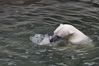 -Мама тону!  -Не бойся я рядом...