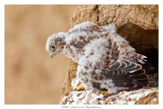 И страшно и.. ужасно любопытно...