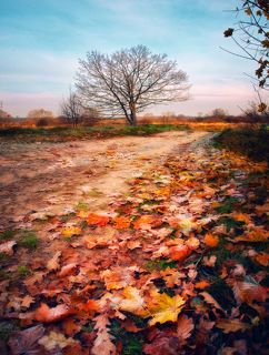 Название - \