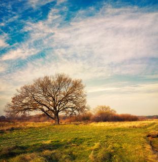 Название - \