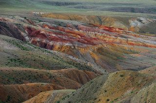 Горный Алтай. Пос. Чаган-Узун. Июль 2020.