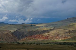 Горный Алтай. Пос. Чаган-Узун. Июль 2020.