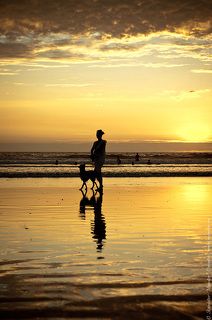 Вместе навсегда