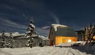 Новый приют