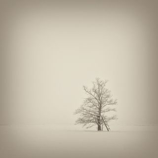 Падает, падает, падает, падает снег