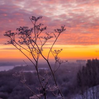 Утренние краски на высоком берегу. Декабрь 2020. г. Киров