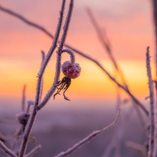 Утренние краски на высоком берегу. Декабрь 2020. г. Киров