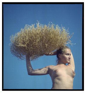 Ikoflex/Kodak Gold200 expired
2020©Nida