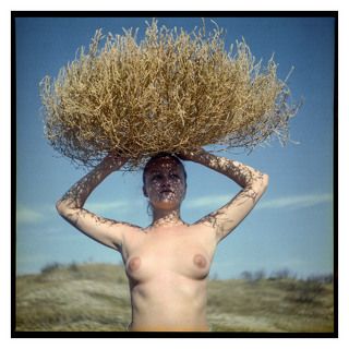 Ikoflex/Kodak Gold200 expired
2020©Nida