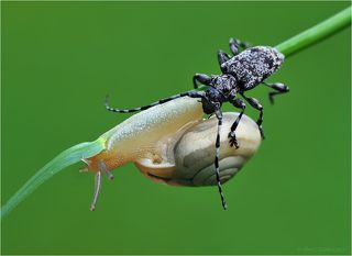 Неужели это все мое?!