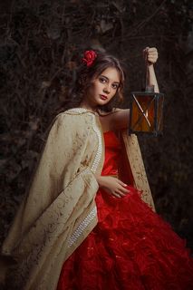 Сказочный лес