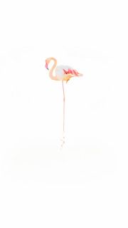 Flamingos in Sardinia, Park of Molentargius in Cagliari