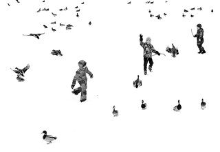 Дети и утки