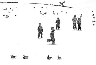 Дети и утки