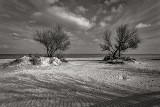 В ожидании лета